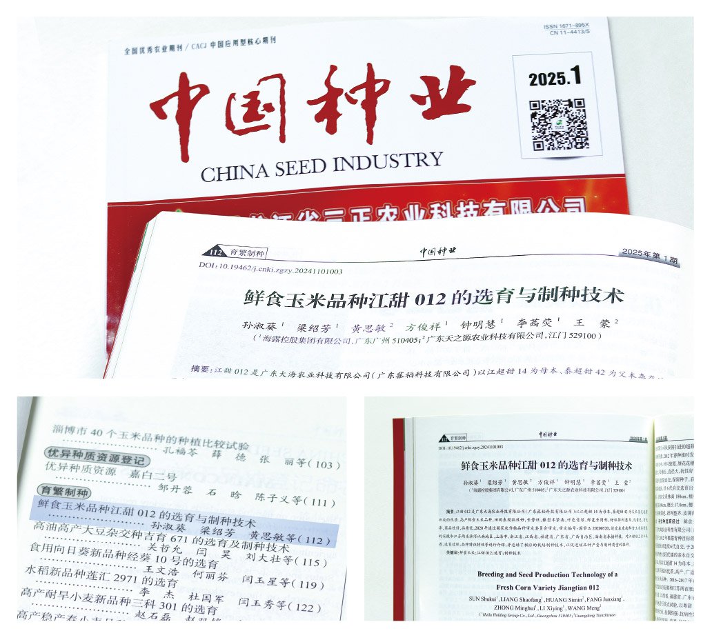 Z6���������ǲ�(�й���)���޹�˾����