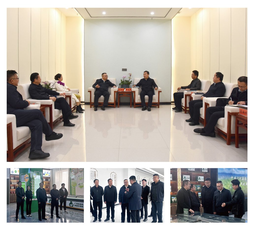 Z6���������ǲ�(�й���)���޹�˾����