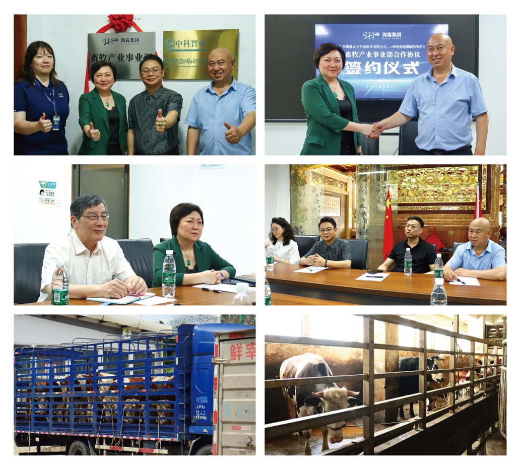 Z6���������ǲ�(�й���)���޹�˾����