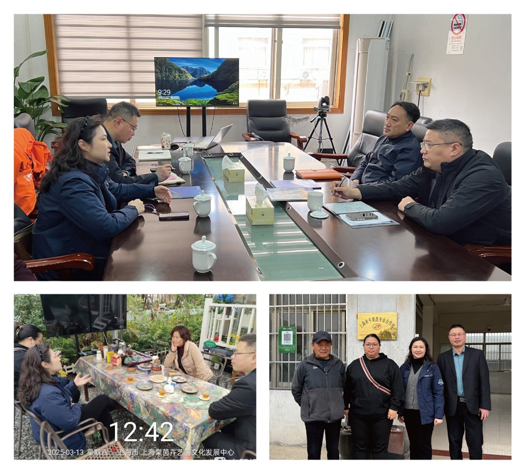 Z6���������ǲ�(�й���)���޹�˾����