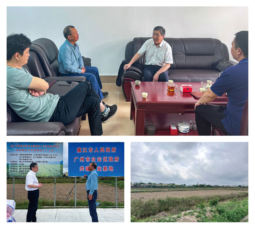 Z6���������ǲ�(�й���)���޹�˾����