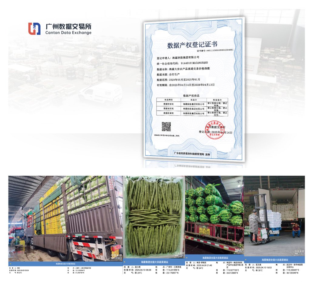 Z6���������ǲ�(�й���)���޹�˾����