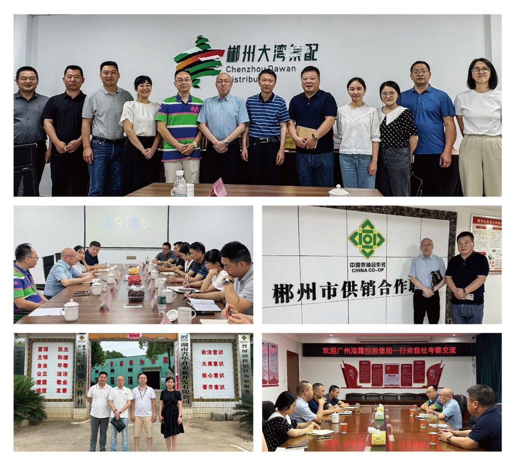 Z6���������ǲ�(�й���)���޹�˾����