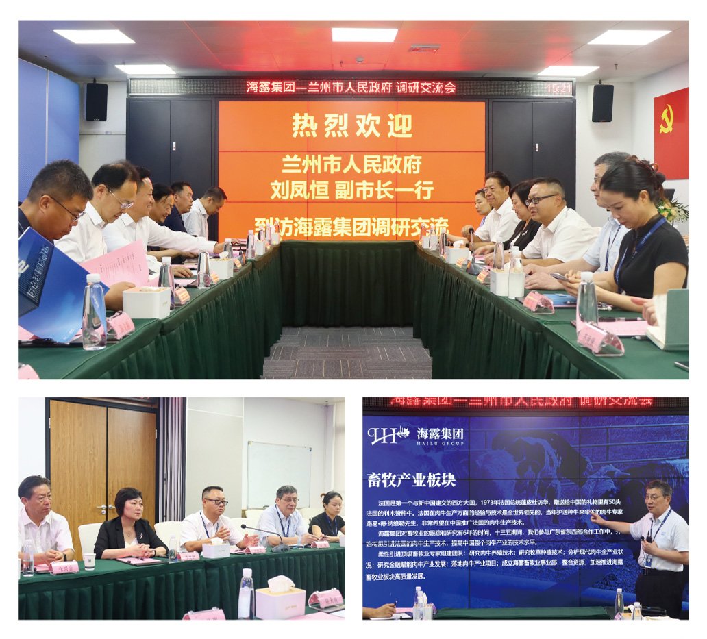 Z6���������ǲ�(�й���)���޹�˾����