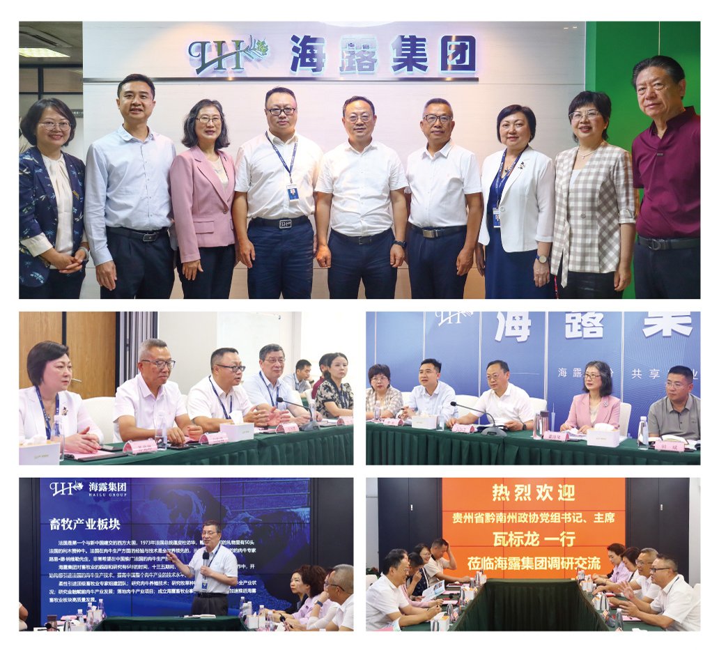 Z6���������ǲ�(�й���)���޹�˾����