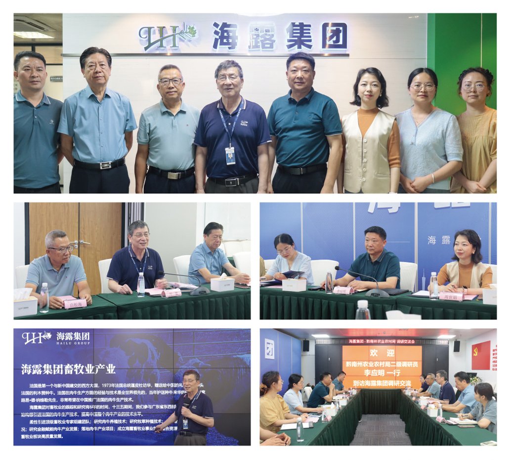 Z6���������ǲ�(�й���)���޹�˾����