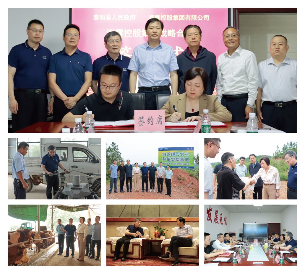 Z6���������ǲ�(�й���)���޹�˾����