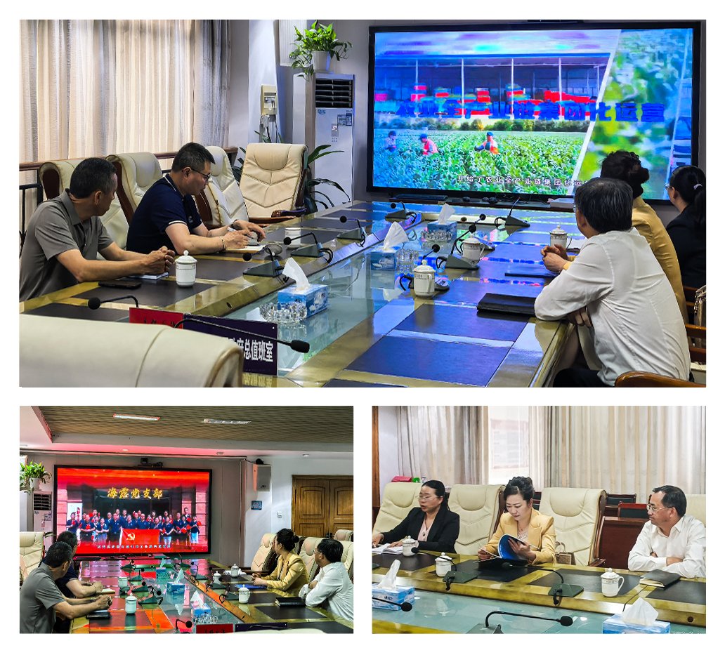 Z6���������ǲ�(�й���)���޹�˾����