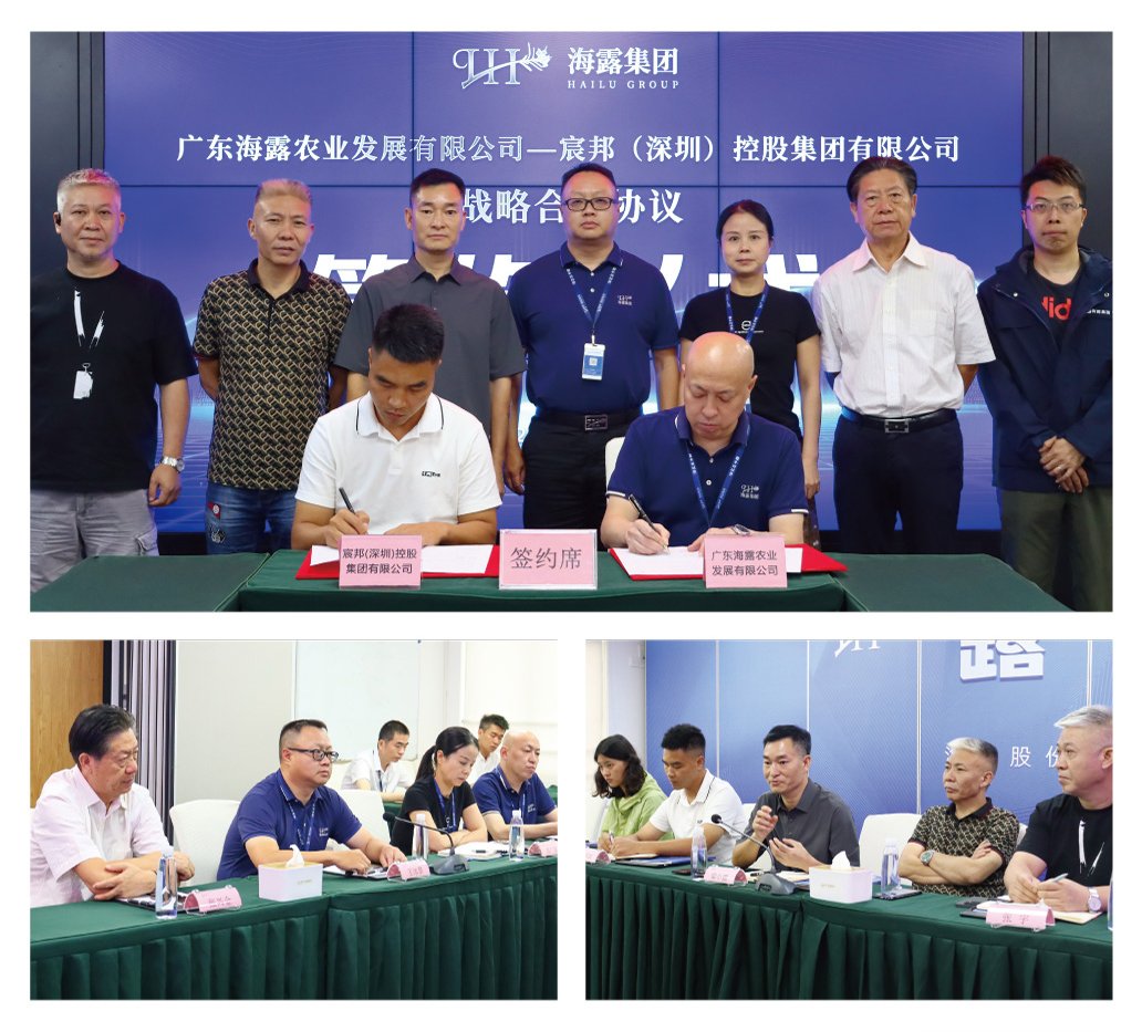 Z6���������ǲ�(�й���)���޹�˾����