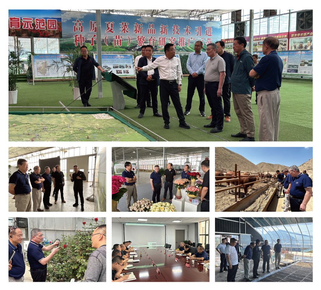 Z6���������ǲ�(�й���)���޹�˾����