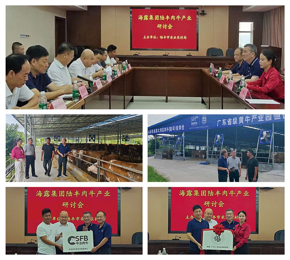 Z6���������ǲ�(�й���)���޹�˾����