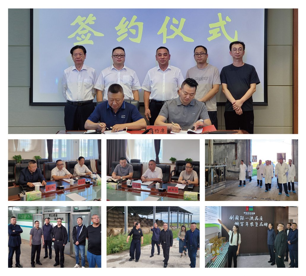 Z6���������ǲ�(�й���)���޹�˾����