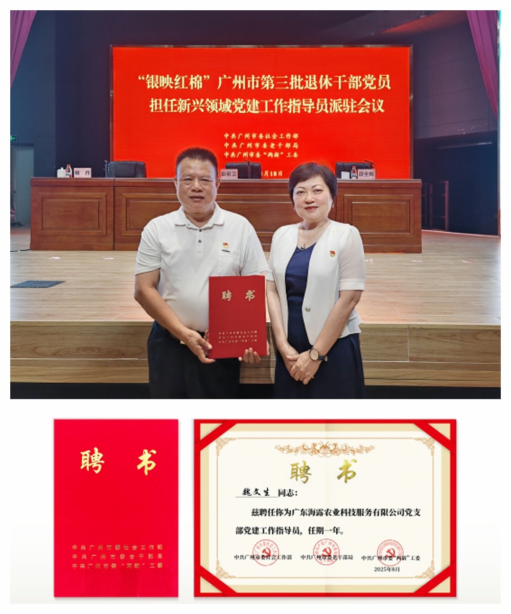 Z6���������ǲ�(�й���)���޹�˾����