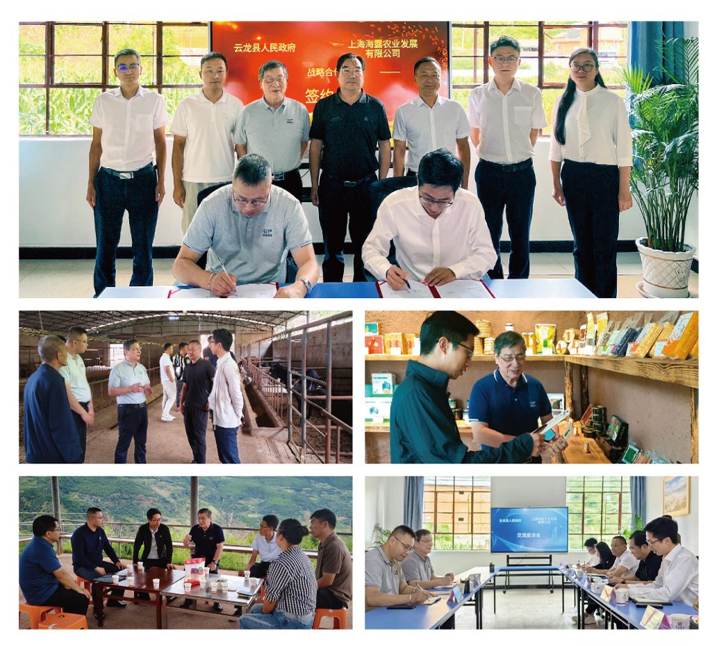 Z6���������ǲ�(�й���)���޹�˾����