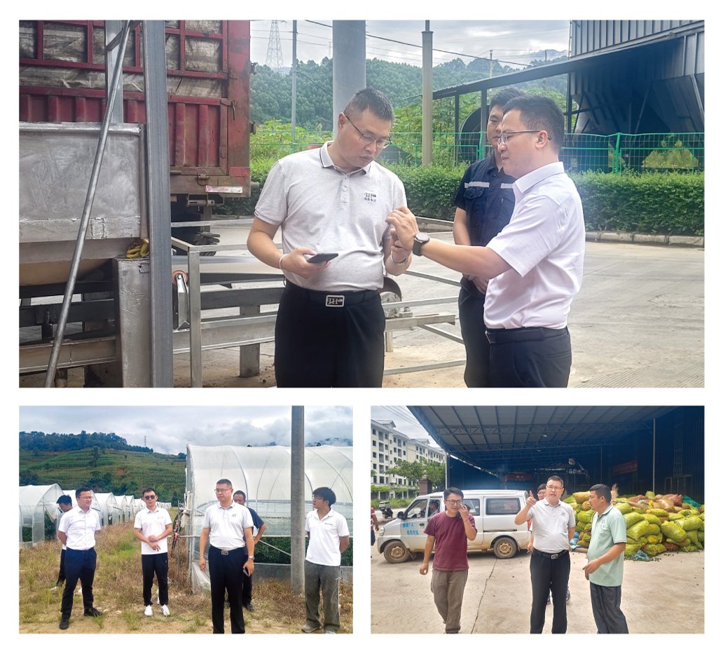 Z6���������ǲ�(�й���)���޹�˾����