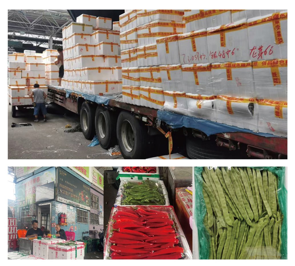 Z6���������ǲ�(�й���)���޹�˾����