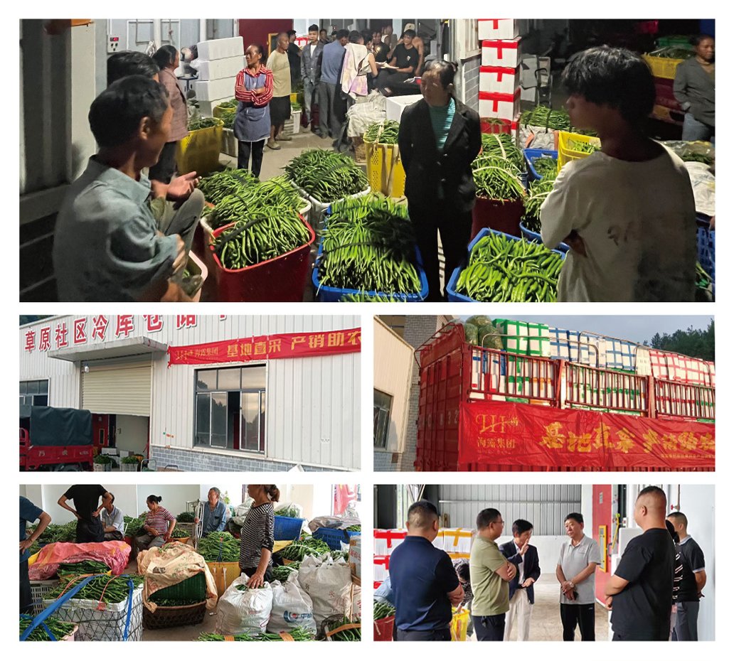 Z6���������ǲ�(�й���)���޹�˾����