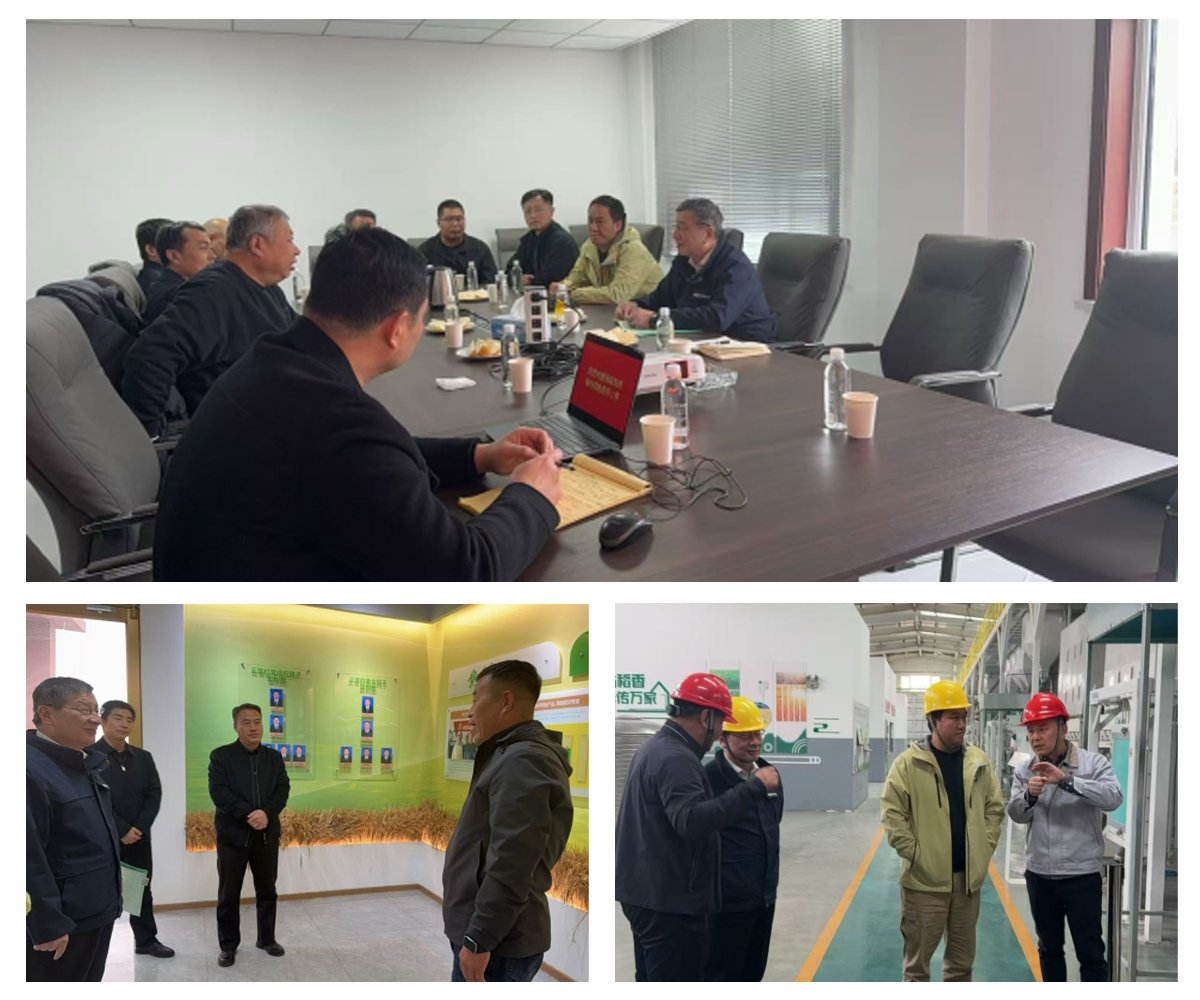 Z6���������ǲ�(�й���)���޹�˾����