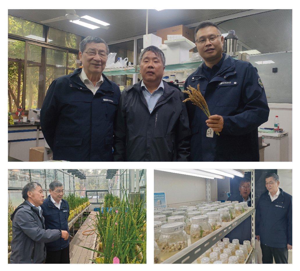 Z6���������ǲ�(�й���)���޹�˾����