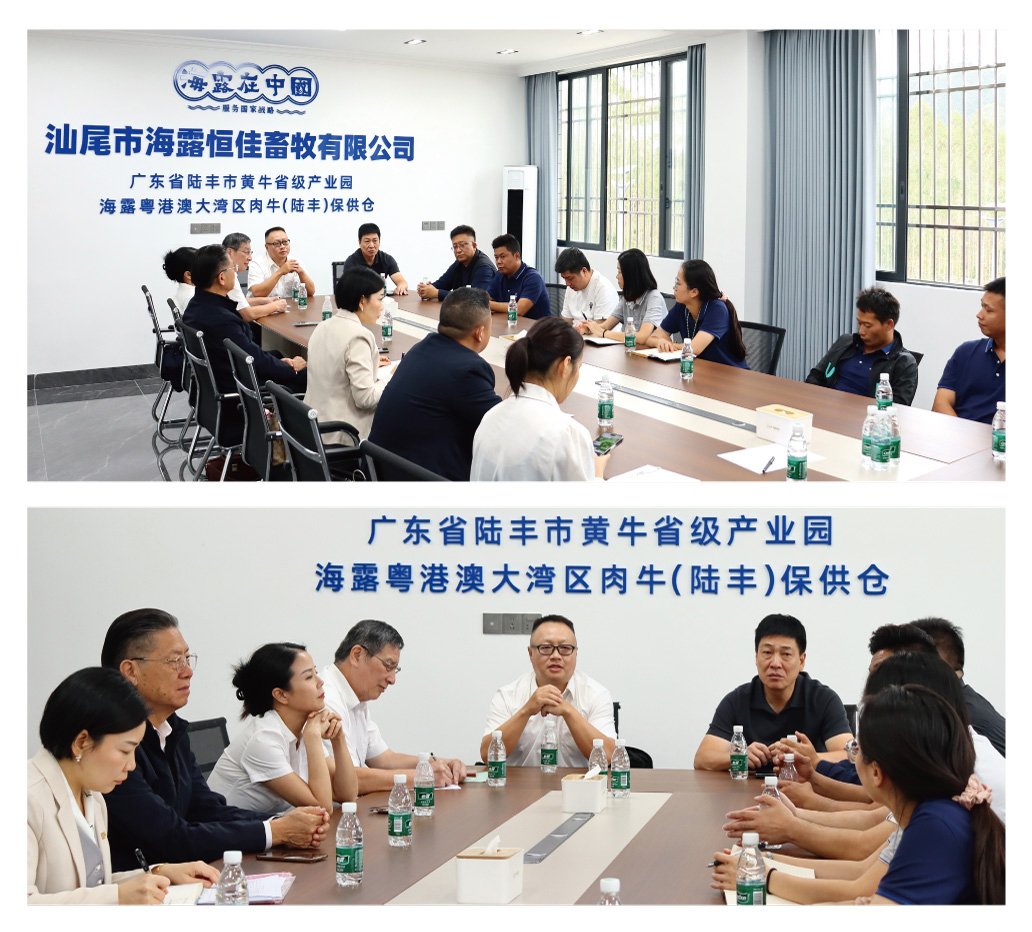 Z6���������ǲ�(�й���)���޹�˾����