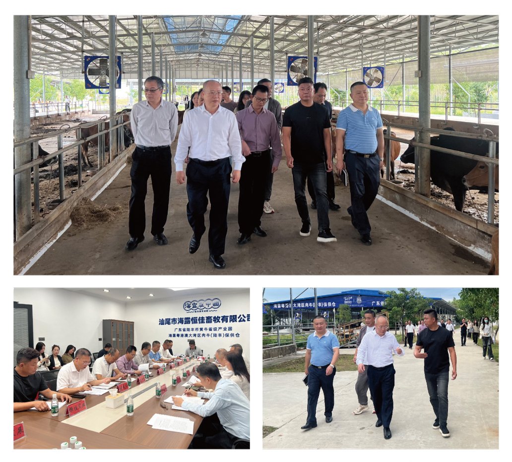 Z6���������ǲ�(�й���)���޹�˾����