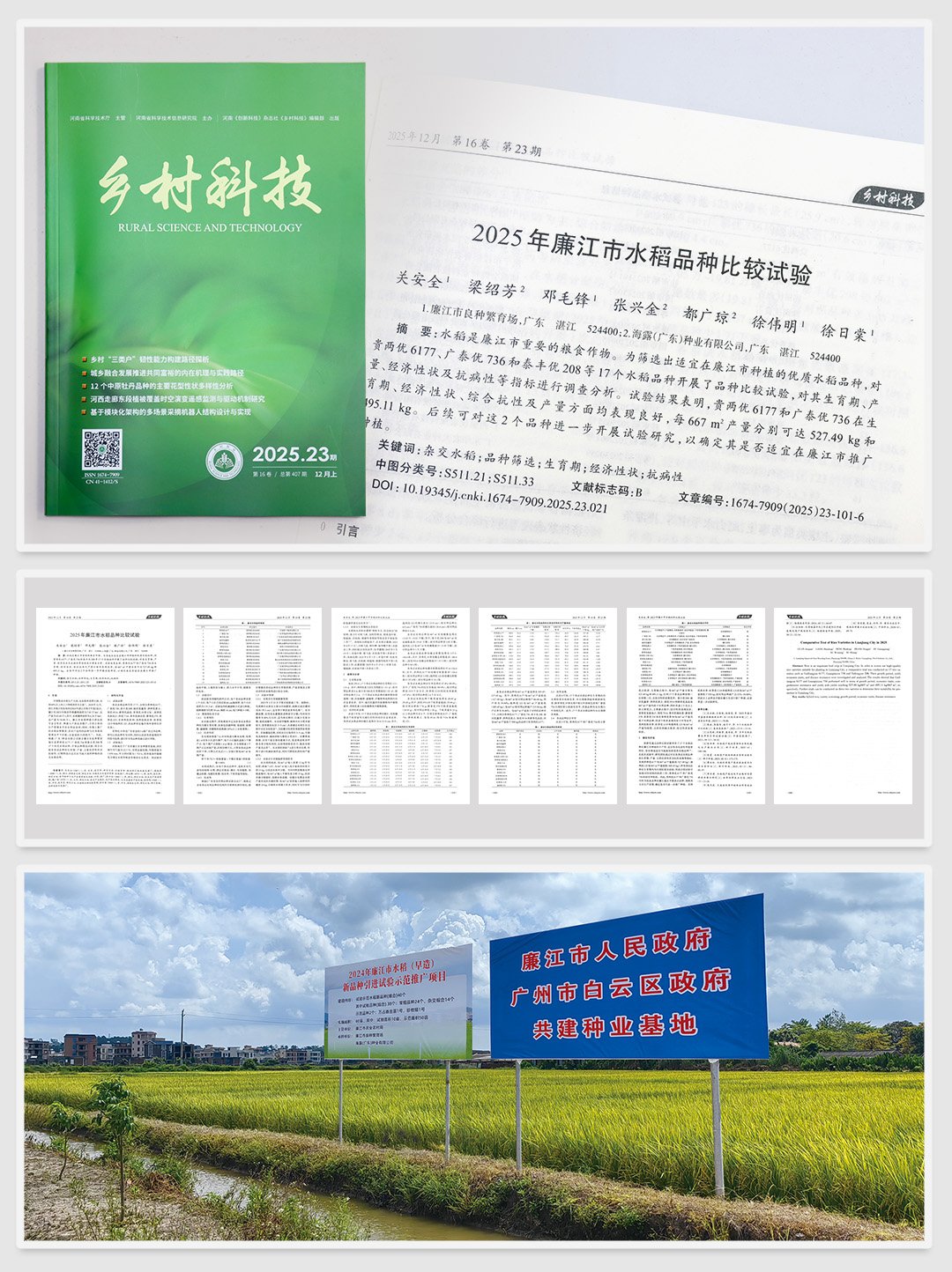 Z6���������ǲ�(�й���)���޹�˾����